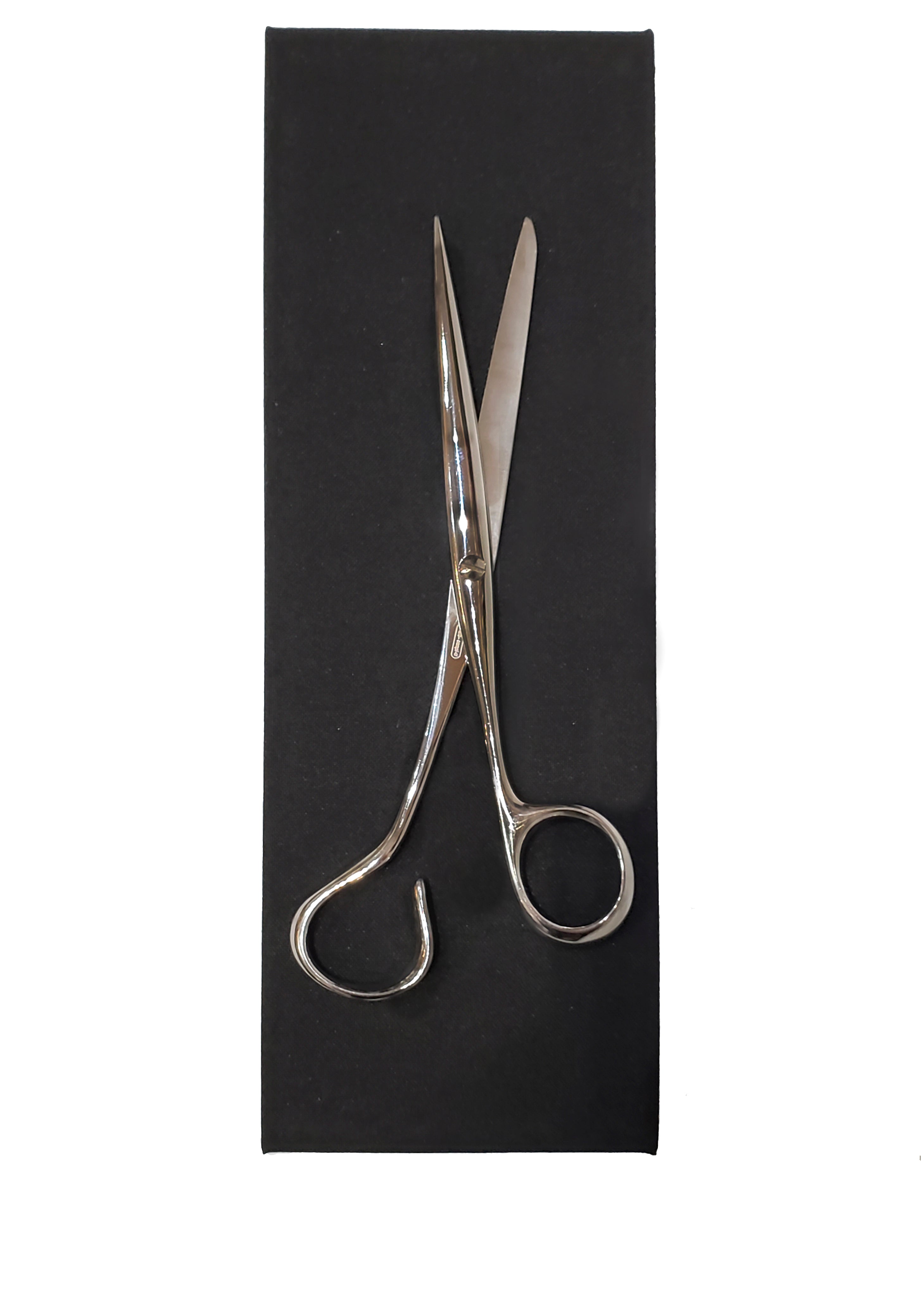Sculptural scissors