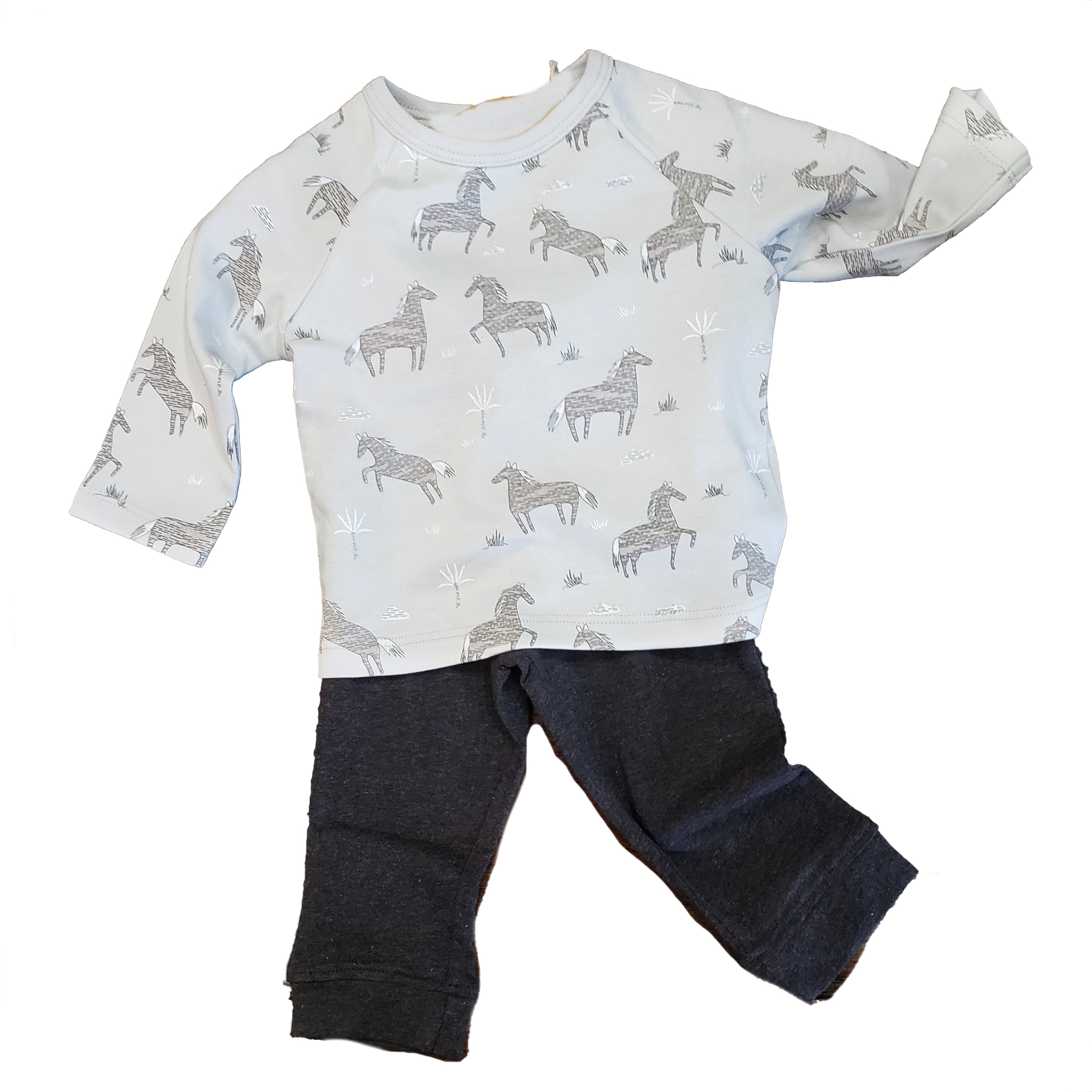 Organic cotton Long sleeve tee and jogger pant